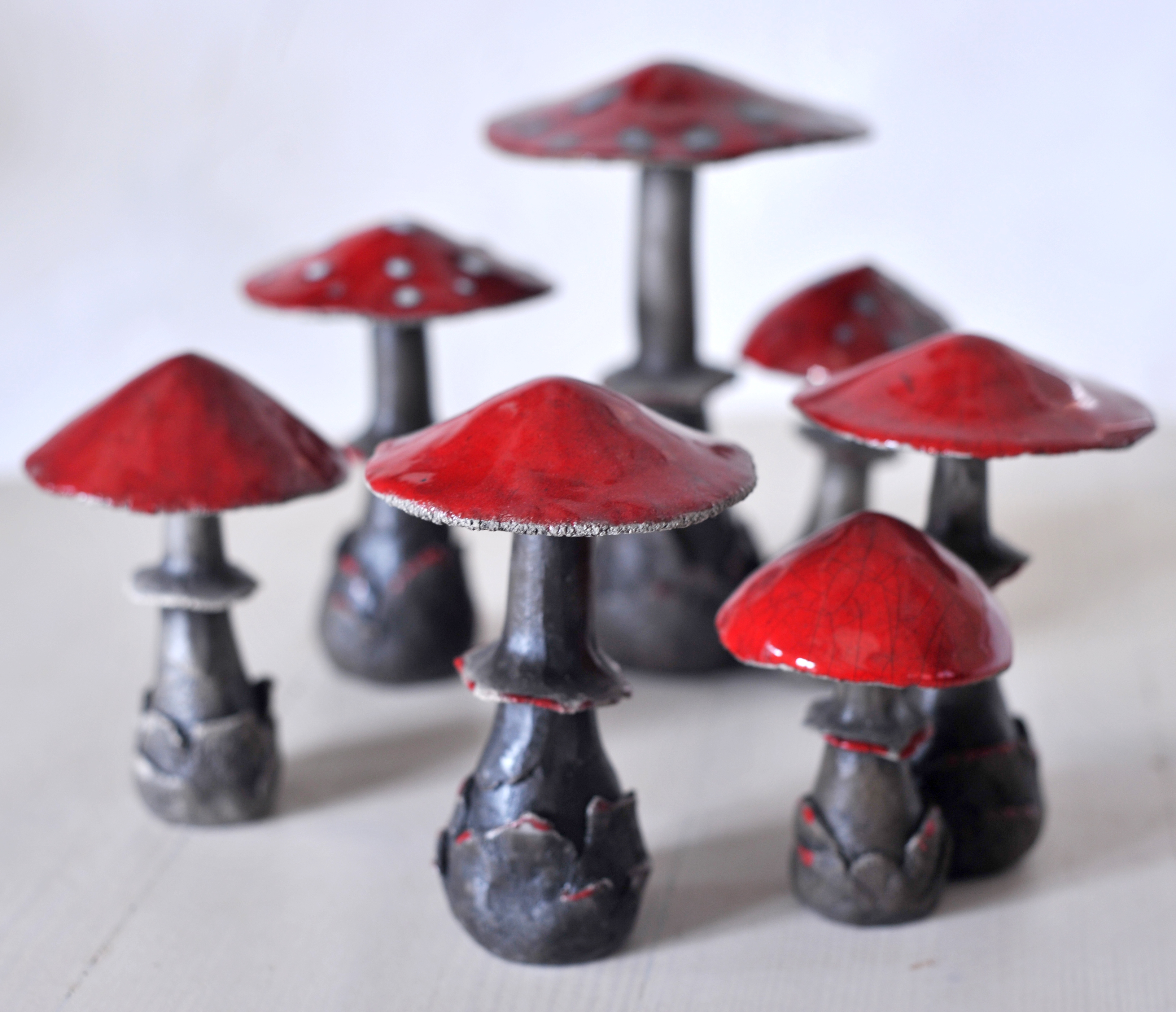 Champignons rouge
